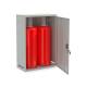 Шкаф для газовых баллонов ШГР 50-2