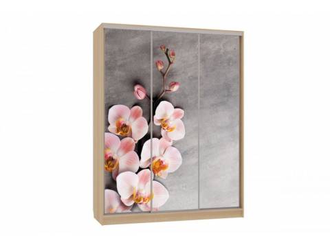 Шкаф-купе Бассо 7-600 78 дуб сонома