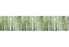 Фартук с фотопечатью Березы FM23