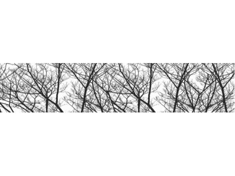 Фартук с фотопечатью Деревья FM24