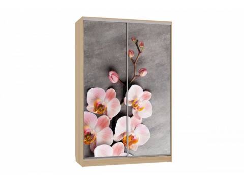 Шкаф-купе Гранд 7-600 78 дуб сонома