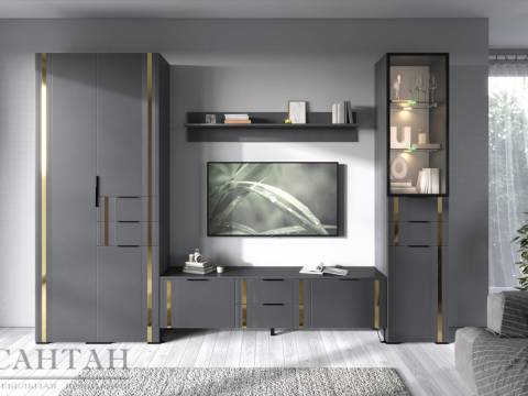 Гостиная Эмэ №2 Графит