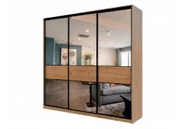 Шкаф-купе Max МШ-25-6-24-666