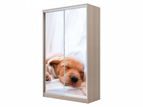 Шкаф-купе Хит 23-12-77 фотопечать 24