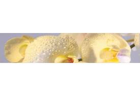 Фартук с фотопечатью Орхидея SP018